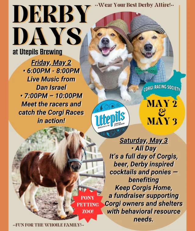 🐎 THIS WEEKEND Derby Days at Utepils Brewing — May 2 & 3!

We’re partnering with the Corgi Racing Society for a two-day celebration of all things Kentucky Derby… with a whole lot of Corgi charm! They’re bringing the fun — we’re bringing the place. 🐶

Friday, May 2 | 6:00PM –10:00PM
Live music from Dan Israel | 6:00PM - 8:00PM
Meet the racers and catch the Corgi Races in action | 7:00PM - 10:00PM

Saturday, May 3 | All Day
It’s a full day of Corgis, beer, ponies and fun — benefiting Keep Corgis Home, a fundraiser supporting Corgi owners and shelters with behavioral resource needs.

What to expect:
 •  Corgi Face Painting w/ ears – $25
 •  Momo Marks (for you & your dog!) – $25
 •  Pet-A-Corgi – $10 for 5 minutes in the corgi cuddle
 •  Corgi Kissing Booth – $1 (add a photo for $5)
 •  Temporary Tattoos – $2
 •  Corgi Merch
 •  Dog Kentucky Derby Fashion Show & Outfit Contest
 •  Vendors
 •  Beer (obviously)
 •  Derby Inspired Seltzer Cocktail (Available in N/A)
 •  N/A Berverages
 •  Infused Sparkling Water (Bandwagon)

🤠 So dust off your Derby hats, dress your pup to impress, and come hang out with us for a weekend that’s totally pawsome.

🐴 Did we also mention a Pony Petting Zoo on Saturday? Well hold on to your saddle, because it's happening!

See y’all there!

In the meantime, it's Tuesday and we have our FREE Meat & Cheese Raffle from 6:00PM - 8:00PM!

Cheers!

@corgiracingsociety
@happysponyparties

#utepilsbrewing #derbydays #kentuckyderby #corgiraces #corgis #ponies #ponypettingzoo #derbyattire #minnesotacraftbeer #drinklocal #cheers